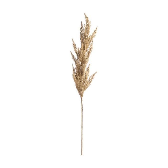 The One Pampas Grass Stem H122cm Brown Mall of the Emirates